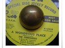 The Cherokees A Wondrous Place GARAGE SOUL MOD HEAR 45