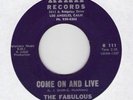 rare Original Northern Soul THE FABULOUS JADES 