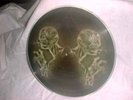 TOOL RARE AENIMA PROMO PICTURE DISC LP VINYL STINKFIST SOBER OPIATE 10