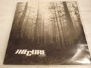 THE CURE A FOREST UK 12