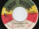 Patrick Andy - Living In Mount Zion - ROOTS THUNDER ???