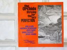 THE ORCHIDS - STRIVING FOR THE LAZY PERFECTION LP