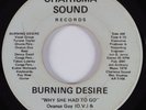 70's Soul Funk 45 BURNING DESIRE Why She Had To Go CHARISMA SOUND HEAR
