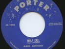 HEAR - Rare Rockabilly / Teen 45 - Mark Anthony - Yolf Call - Porter #45-1005