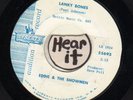 SURF INSTRUMENTALS--LIBERTY--EDDIE & SHOWMEN--LANKY BONES--HEAR BOTH