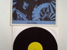 SIOUXSIE AND THE BANSHEES  -- ELEPHANT FAYRE FESTIVAL    LIVE LP