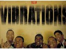 Vibrations Rare Chicago Northern Soul On Okeh OG LP  Hear