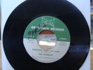 THE FIREBOLTS - EVERYBODY PARTY 45 - DISCO FUNK RARE OG