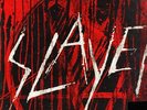 Slayer-The Vinyl Conflict (All 10 US Recordings on 180 Gram Press)