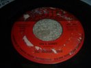RARE OHIO GARAGE 45/ THE JOURNEY MEN 