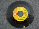 THE ROMANCERS 60’s SAVAGE CALIFORNIA GARAGE PUNK PROMO 45 LOVES THE THING RARE