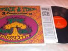 ORANGE ALABASTER MUSHROOM - SPACE AND TIME - RARE LP GARAGE PSYCH MINT