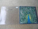 the bluetones 