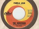 the SURVIVORS . . R&R 45 Capitol  . . Pamela Jean  . . RARE  . . Brian Wilson