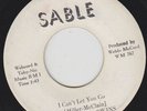 SOULFUL TWINS *'I Can't Let You Go'* Northern SOUL Sable 45 * Hear it