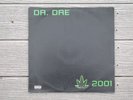 DR. DRE The Chronic 2001 2x LP 1999 1st US press aftermath interscope eminem