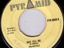 THE MAYTALS/SKINHEAD REGGAE/PYRAMID PYR6048/1968..RARE.......LISTEN