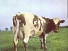PINK FLOYD Atom Heart Mother EMI box Plays PERFECT Sleeve EX