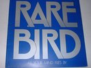 A2/B2 U 1970 RARE BIRD LP AS YOUR MIND FLIES BY CHARISMA 1011 GATEFOLD