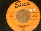 Bill Haley and The Comets  * Essex * 45 * Sundown Boogie & Juke Box Cannon Ball