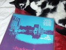 Sarah Records Shadow Factory 1st Compilation Sarah 587 LP blue cover C86 Twee