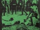 Infest 