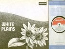 WHITE PLAINS Original 1970 UK Deram LP First Press COOK & GREENAWAY . EX+