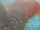 NM LIMITED ED 4106 Mobile Fidelity Audiophile PINK FlOYD Meddle JAPAN MFSL 1-190