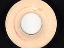 Viceroys - Promises - blank (Matador) 7