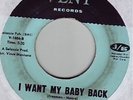 northern soul 45 THE ETHICS i want my baby back HEAR 