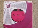 THE PRIMITIVES - You Said/How Do You Feel - Jimmy Page - Garage/Freakbeat RARE