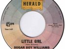 SUGAR BOY WILLIAMS - ORIGINAL US HERALD LABEL 45 - MONARCH DELTA NUMBER