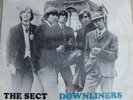 Downliners Sect   The Sect