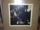 Kawabata Makoto White Summer Of Love Dreamer LP Acid Mothers Temple LTD TO 5