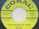 The Buzz - You're Holding Me Down -UK Freakbeat - Joe Meek -Coral Promo - Listen