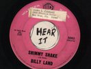 ROCKABILLY BW/ TEEN --WB--BILLY LAND (JOE SOUTH)--SHIMMY SHAKE--HEAR BOTH