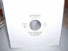 Hale & hushabyes/Beach Boys WLP 45 yes, sir, that's my baby on apogee #104