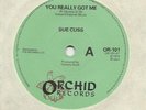 SUE CUSS - YOU REALLY GOT ME - OBSCURE UK NEW WAVE 7
