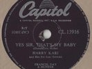 Harry Kari - Yes Sir That's My Baby 10