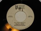 PRIVATE GA HARD ROCK MAGNUM BAND: YOU CANT HAVE IT/WHY DONT YOU STAY ON PSI