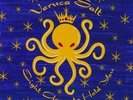 Eight Arms To Hold You by Veruca Salt (VINYL) 1997 Minty Fresh