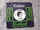 VELVET UNDERGROUND Who Loves the Sun /same promo 45
