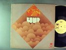 Bump  Self-Titled   Private Rare Original  Psych