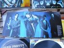 DIED PRETTY-TRACE VINYL AUSTRALIA LP RADIO BIRDMEN