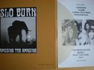 KYUSS / Slo Burn - split LP * STONER ROCK Fu Manchu QUEENS OF THE STONE AGE mint