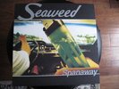 Seaweed-Spanaway- LP Promo