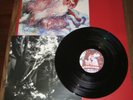 Thee Oh Sees Warm Slime LP jeff the brotherhood white stripes screaming females
