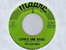 Fading Yellow   sunshine pop KANTONES Lovn'g and Roses MAARC Ohio HEAR