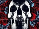 Deftones Self Titled Coloured Vinyl LP hot topic exclusive ltd edition
