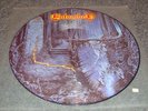 Picture LP - Left Hand Path - Entombed